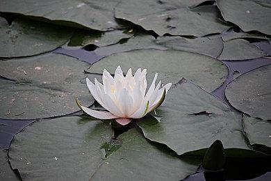 Switch 2在美国发售两个月 销量超200万台